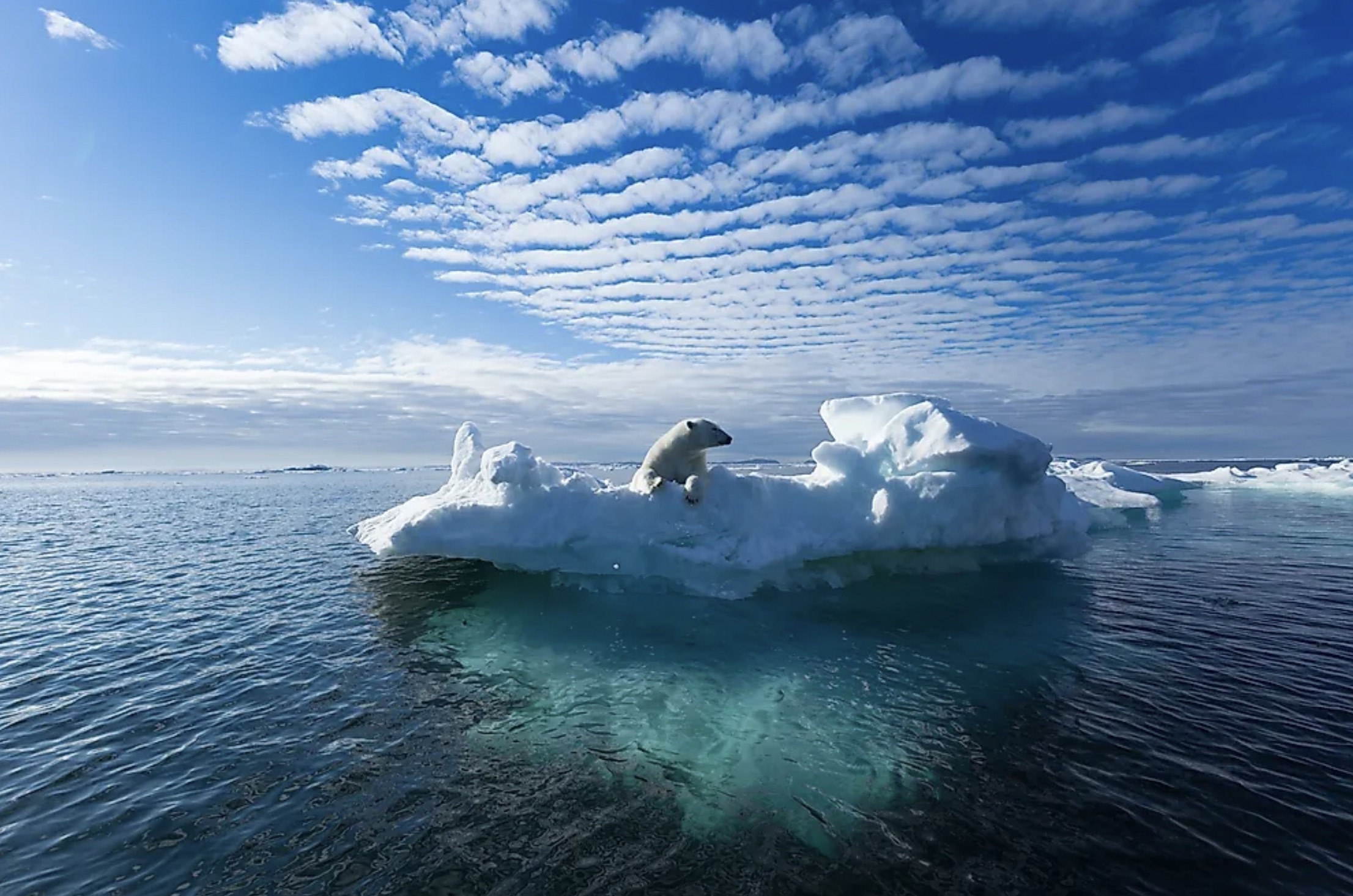 Glaciers disappearing 